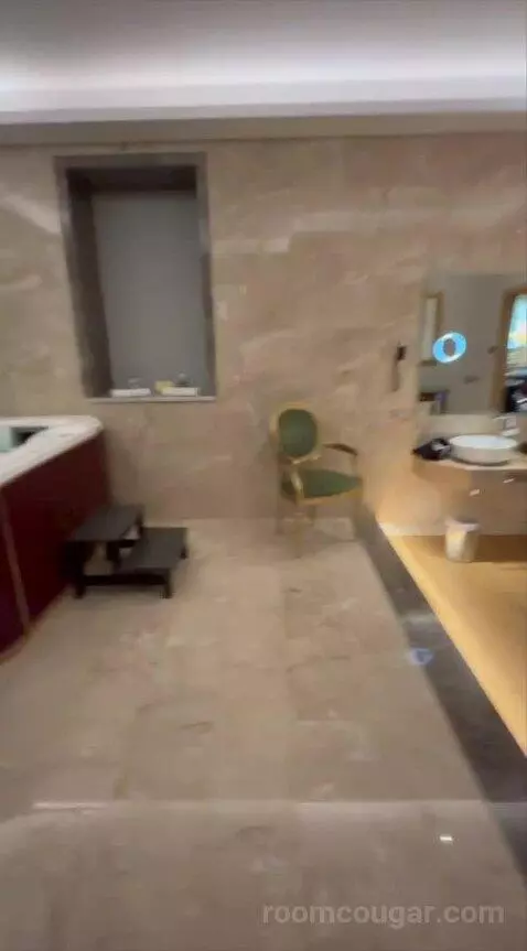 Presidential Suite bathroom picture #9