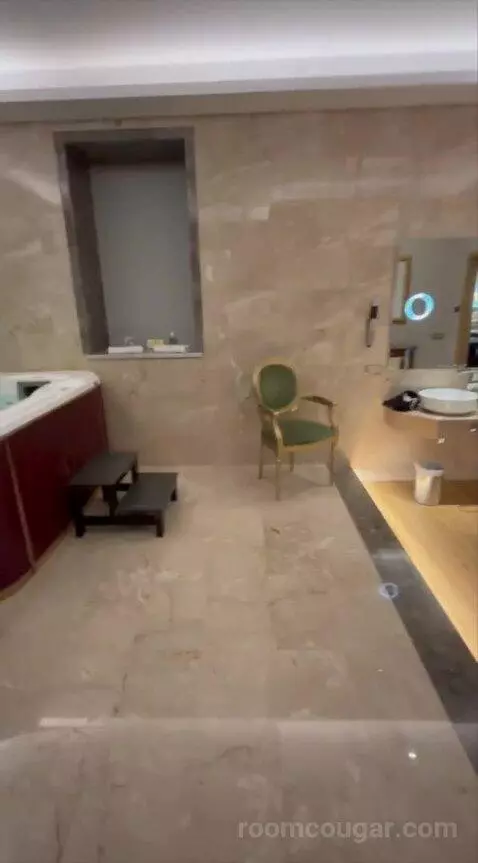 Presidential Suite bathroom picture #10