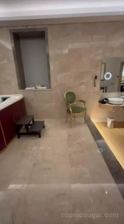 Presidential Suite bathroom picture #11