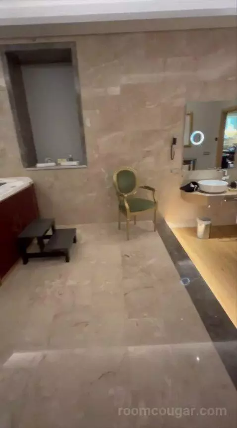 Presidential Suite bathroom picture #12