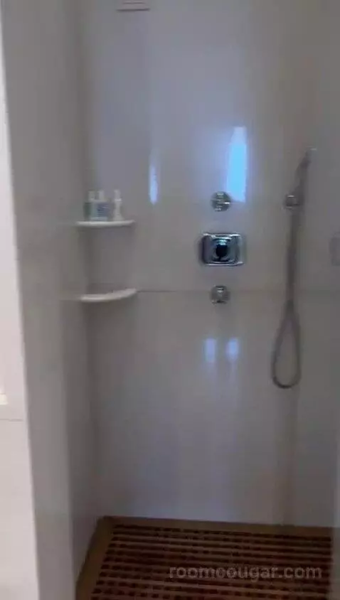 Junior Suite with Sea View bathroom picture #2