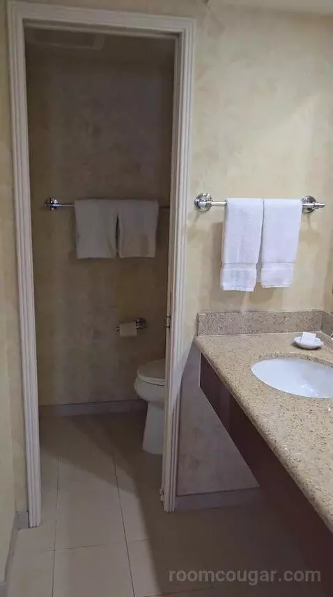 Club Suite, 1 King Bed Oceanfront (Diamond Head) (#223) bathroom picture #1