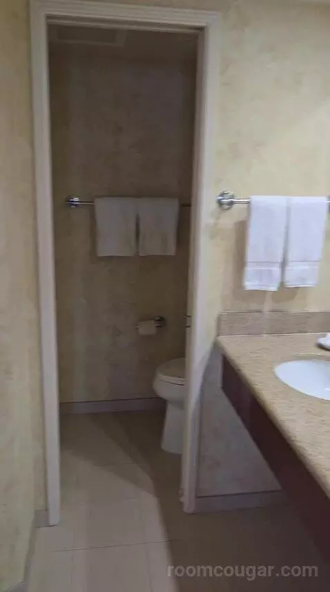 Club Suite, 1 King Bed Oceanfront (Diamond Head) (#223) bathroom picture #2