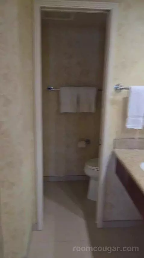 Club Suite, 1 King Bed Oceanfront (Diamond Head) (#223) bathroom picture #3