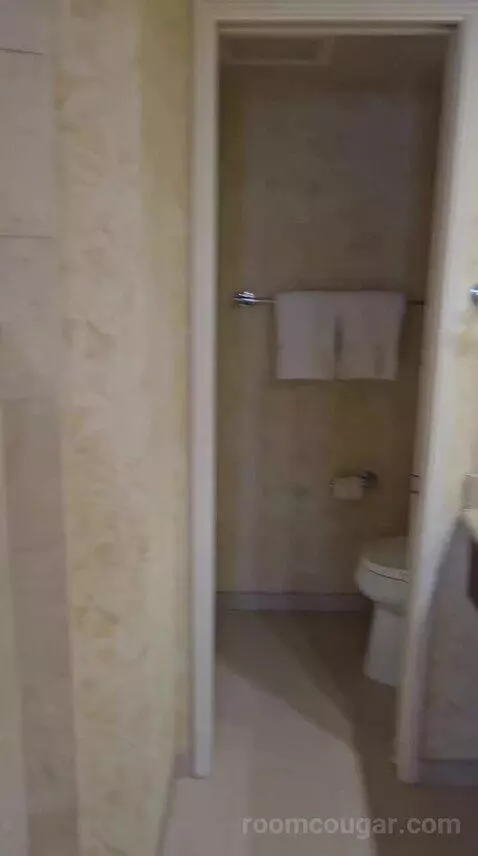 Club Suite, 1 King Bed Oceanfront (Diamond Head) (#223) bathroom picture #4