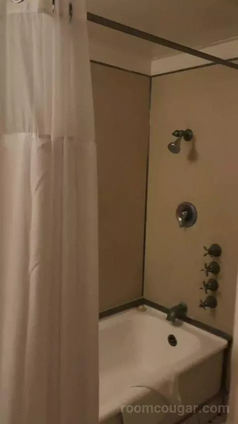Suite bathroom picture #7
