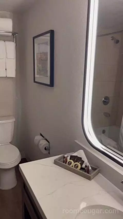 Double Queen Room bathroom picture #1