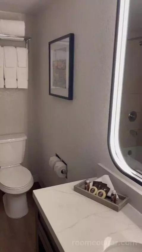 Double Queen Room bathroom picture #2