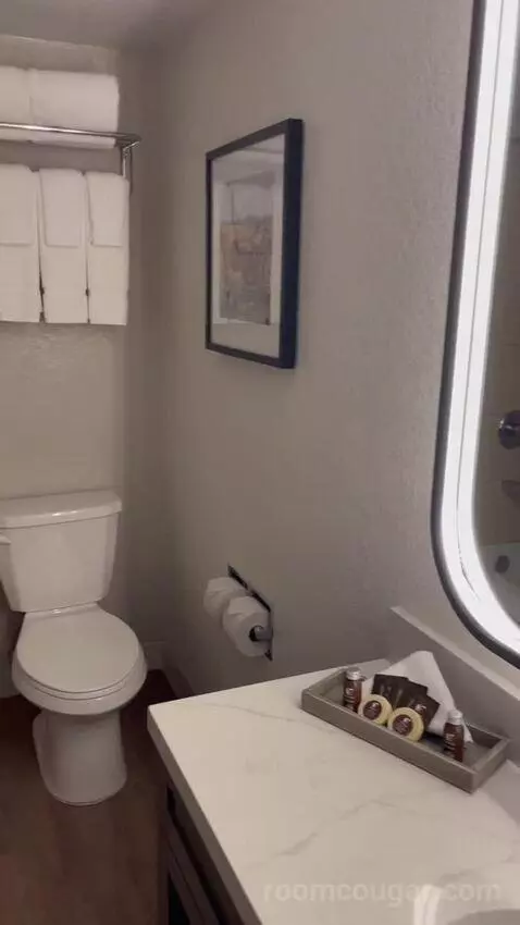 Double Queen Room bathroom picture #4