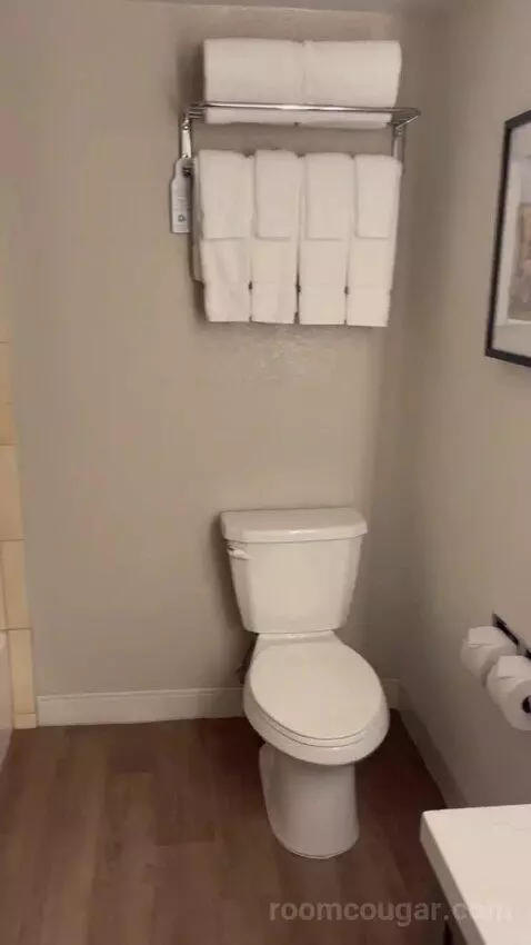 Double Queen Room bathroom picture #6