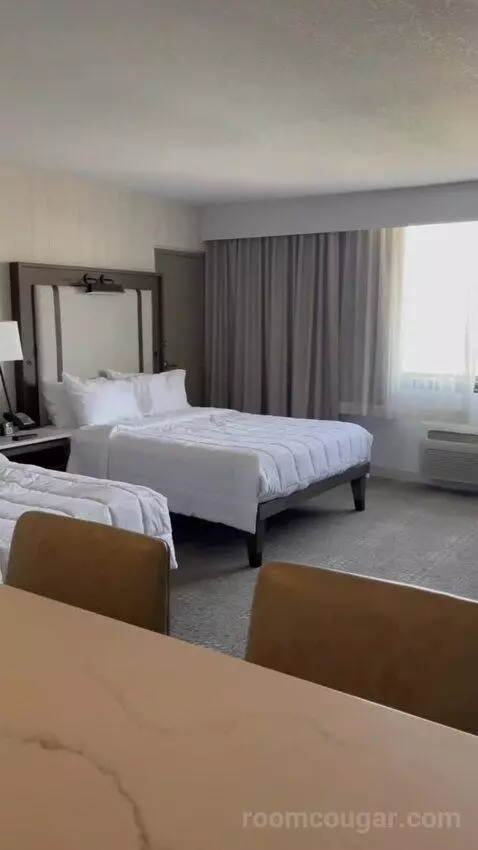 Double Queen Room bed picture #1