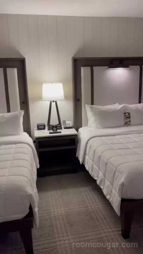 Double Queen Room bed picture #4