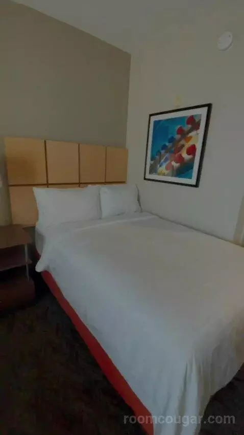 Studio Suite bed picture #3