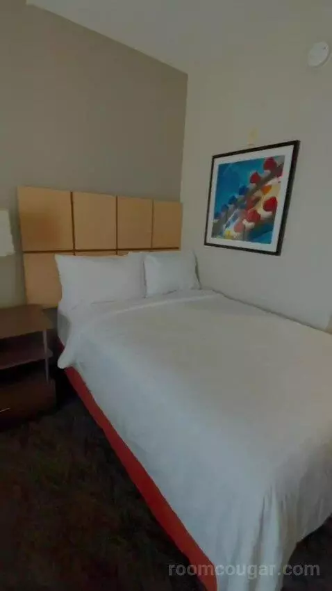 Studio Suite bed picture #4