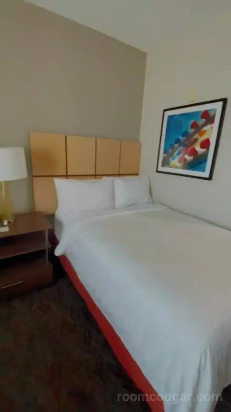 Studio Suite bed picture #6