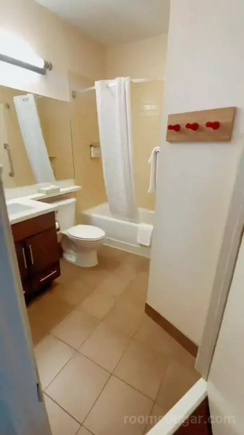 Studio Suite bathroom picture #6