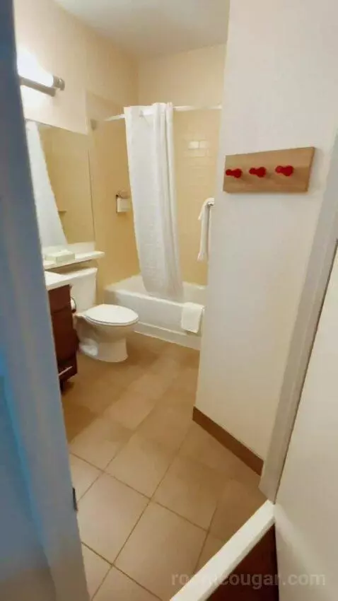 Studio Suite picture #21