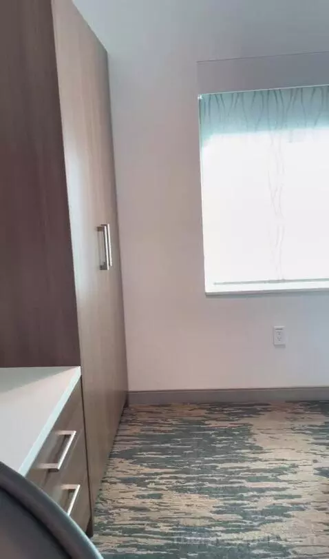 Kids Suite with 1 King or 2 Twin/Single Bed(s) Bunk Beds, Suite bed picture #6