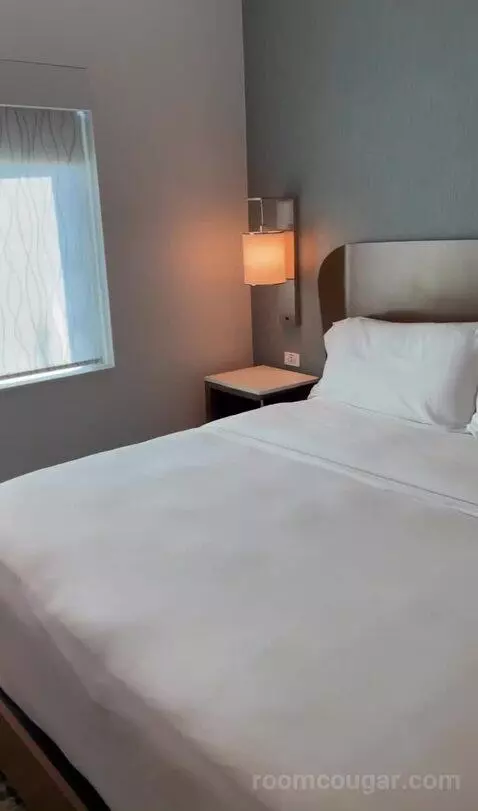Kids Suite with 1 King or 2 Twin/Single Bed(s) Bunk Beds, Suite bed picture #8