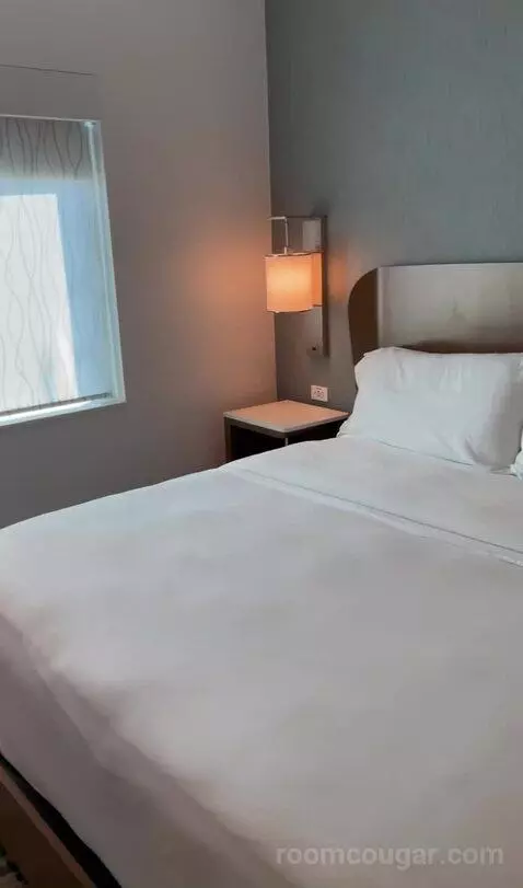 Kids Suite with 1 King or 2 Twin/Single Bed(s) Bunk Beds, Suite picture #19