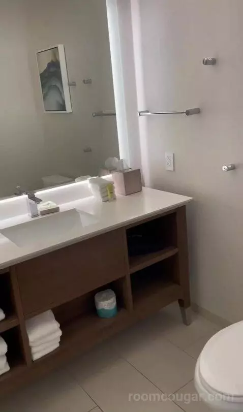 Kids Suite with 1 King or 2 Twin/Single Bed(s) Bunk Beds, Suite bathroom picture #5