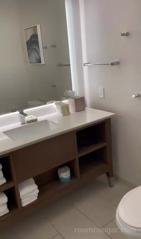 Kids Suite with 1 King or 2 Twin/Single Bed(s) Bunk Beds, Suite bathroom picture #6