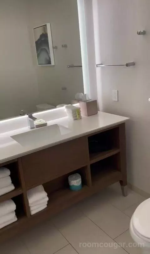 Kids Suite with 1 King or 2 Twin/Single Bed(s) Bunk Beds, Suite bathroom picture #8