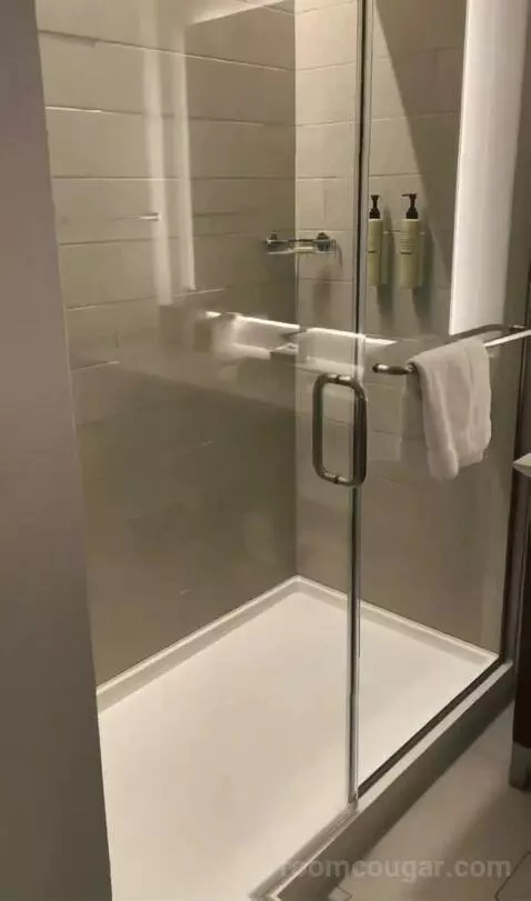 Kids Suite with 1 King or 2 Twin/Single Bed(s) Bunk Beds, Suite bathroom picture #9