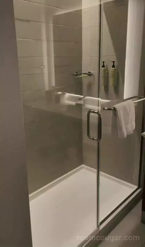 Kids Suite with 1 King or 2 Twin/Single Bed(s) Bunk Beds, Suite bathroom picture #11