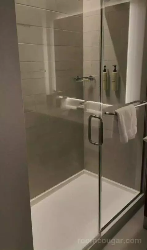 Kids Suite with 1 King or 2 Twin/Single Bed(s) Bunk Beds, Suite bathroom picture #12