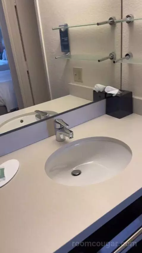 Queen Room with Two Queen Beds bathroom picture #2