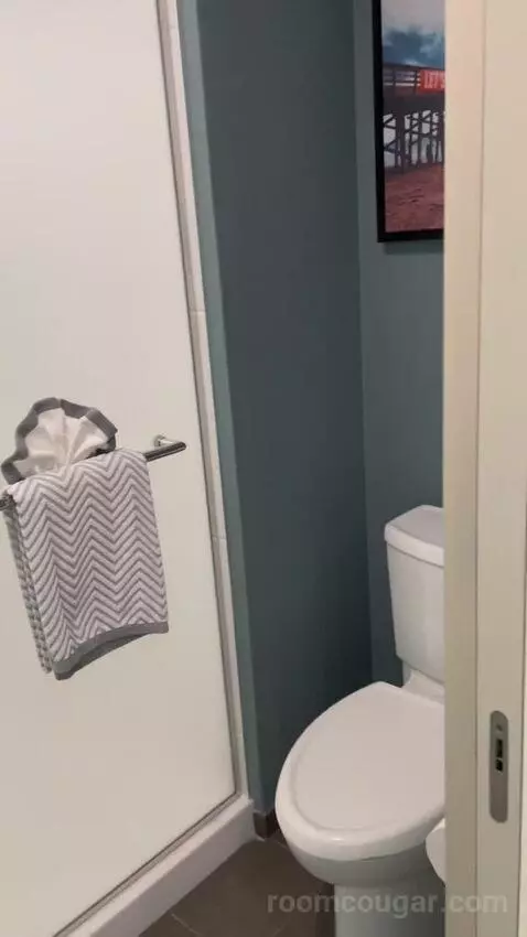 Family Suite bathroom picture #4