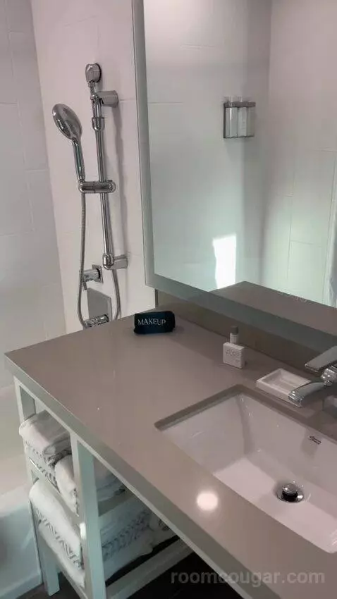 Family Suite bathroom picture #7