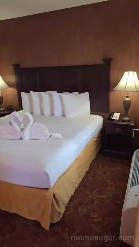 Family Suite bed picture #1