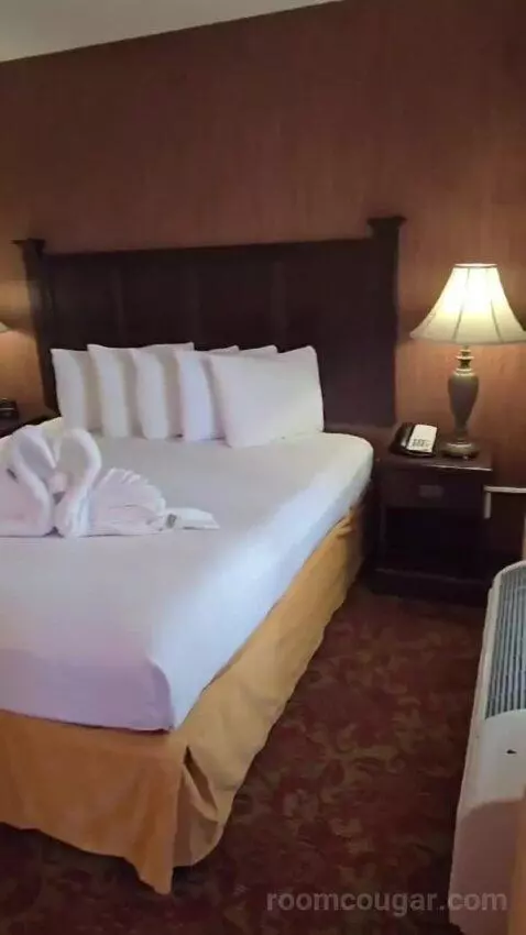 Family Suite bed picture #2