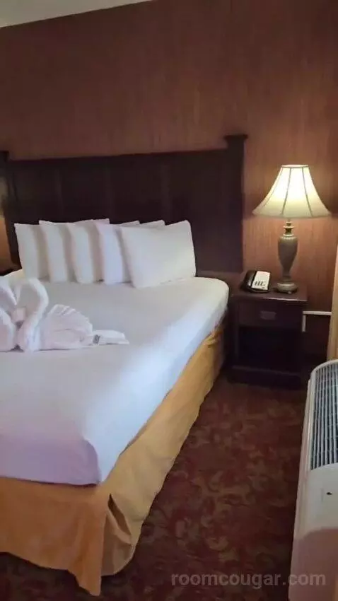 Family Suite bed picture #4
