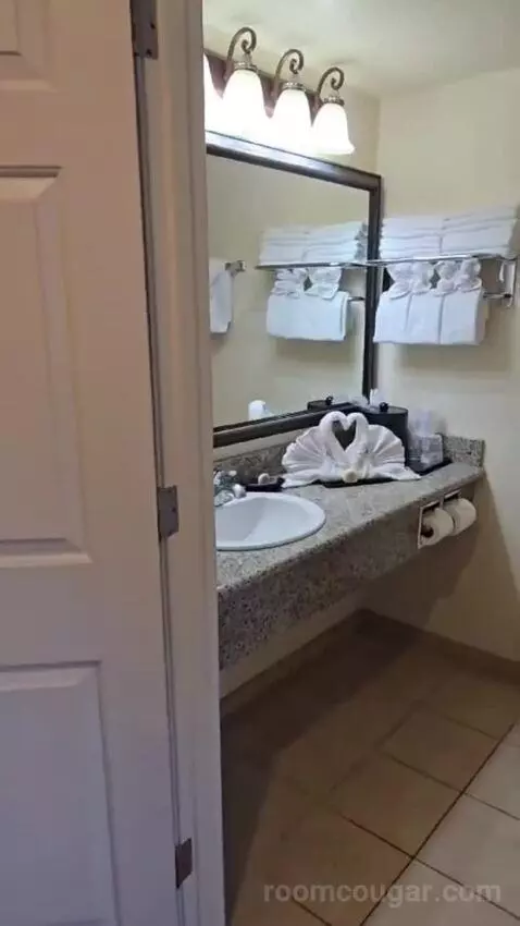 Family Suite bathroom picture #3