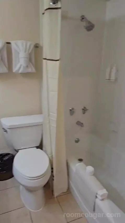 Family Suite bathroom picture #5
