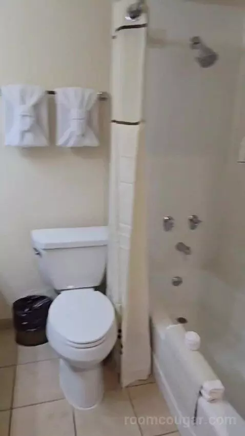 Family Suite bathroom picture #6