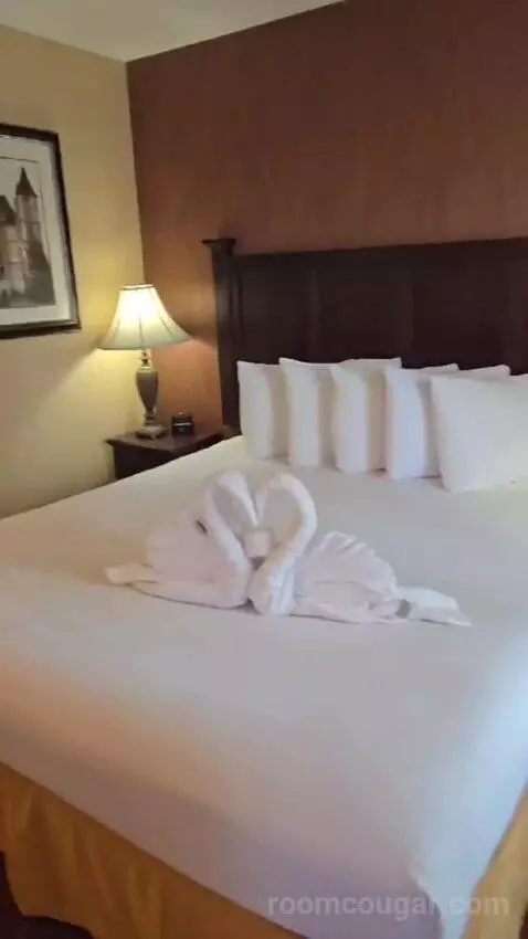 Family Suite bed picture #7