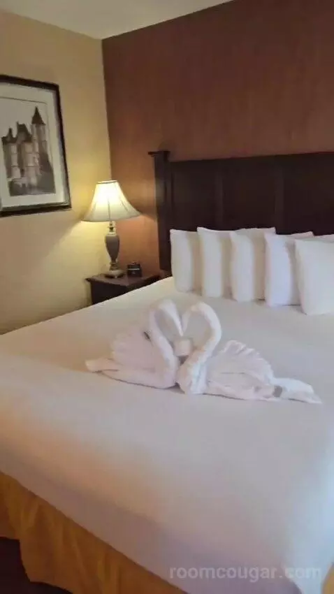 Family Suite bed picture #8
