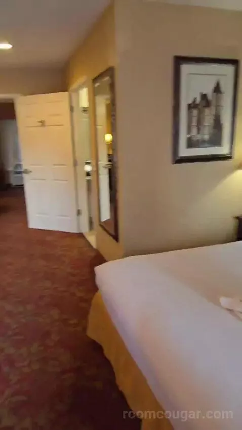 Family Suite bed picture #9