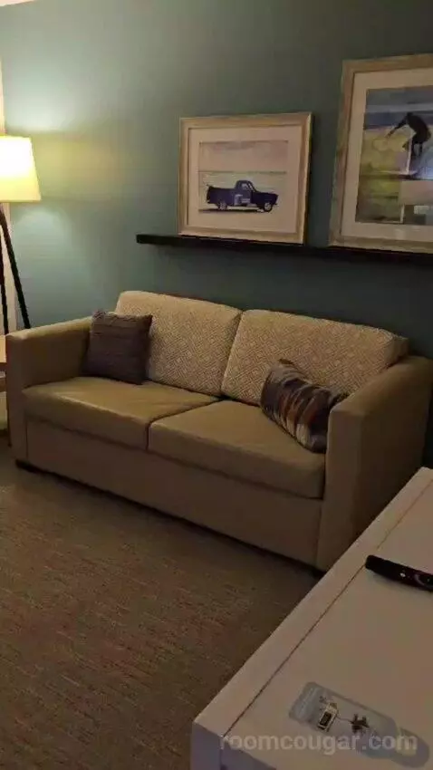 King Studio Suite picture #1