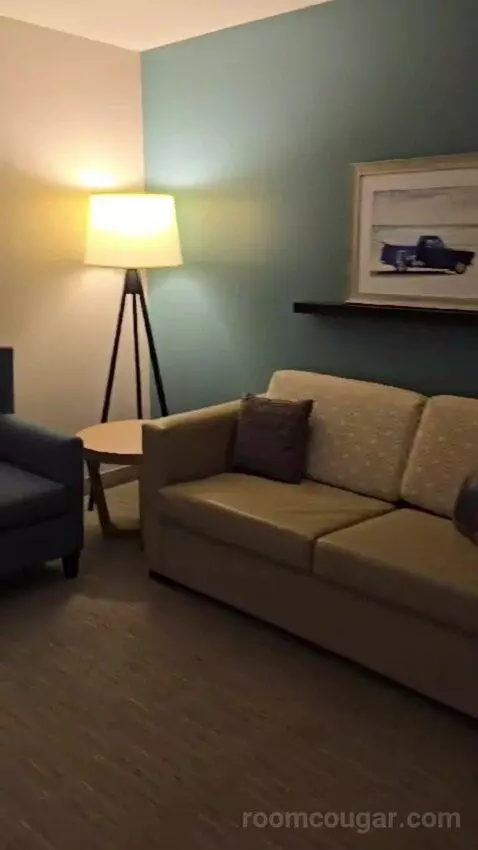 King Studio Suite picture #2