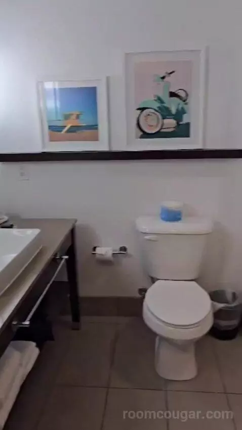 King Studio Suite bathroom picture #3
