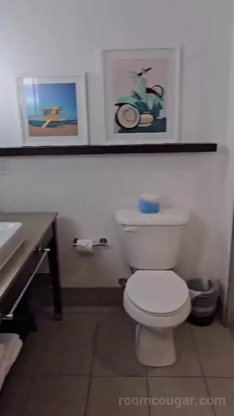 King Studio Suite bathroom picture #4