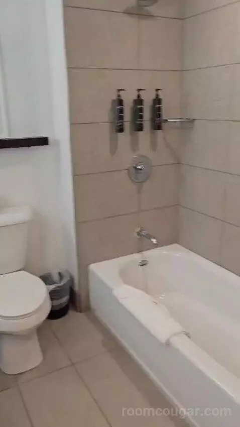 King Studio Suite bathroom picture #5