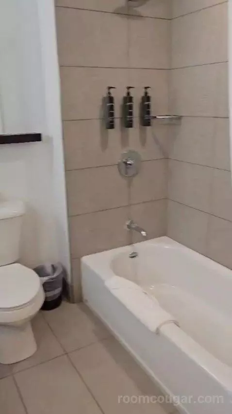 King Studio Suite picture #12