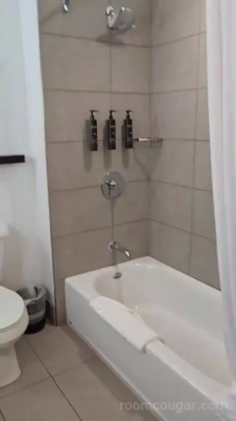 King Studio Suite bathroom picture #7