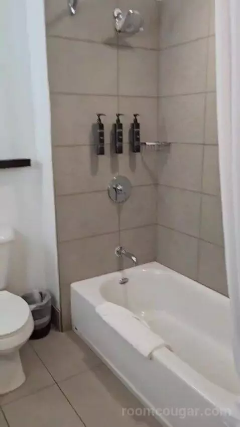 King Studio Suite bathroom picture #8